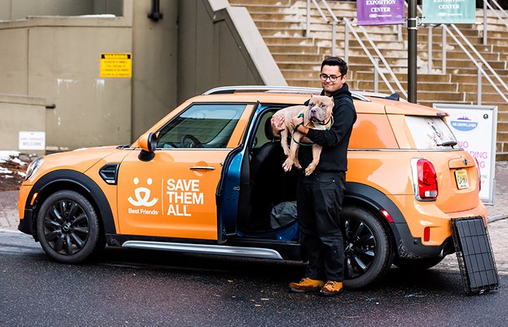 Megatron, an extra-large dog, got to ride in style in the MINI to adoption events until the big day came when a family fell in love and took him home