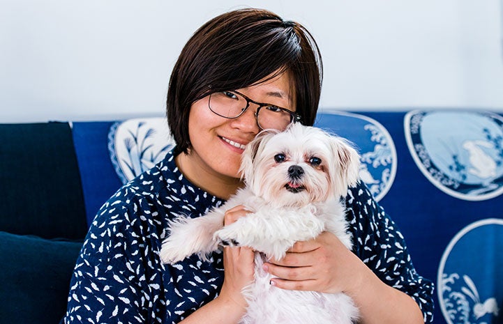 Happy, the 14-year-old Maltese with his new mom
