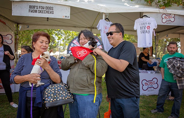 Group of three people holding two small dogs in front of the BOBS for Dogs booth at A tent with human and dog activity at the NKLA Pet Super Adoption