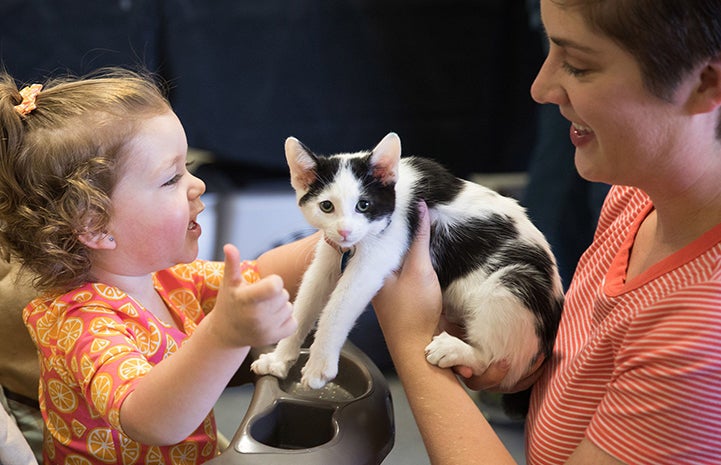 Woman holding Bane, a black and white kitten, with a toddler, after adopting him at the May the 4th NKUT Super Adoption event