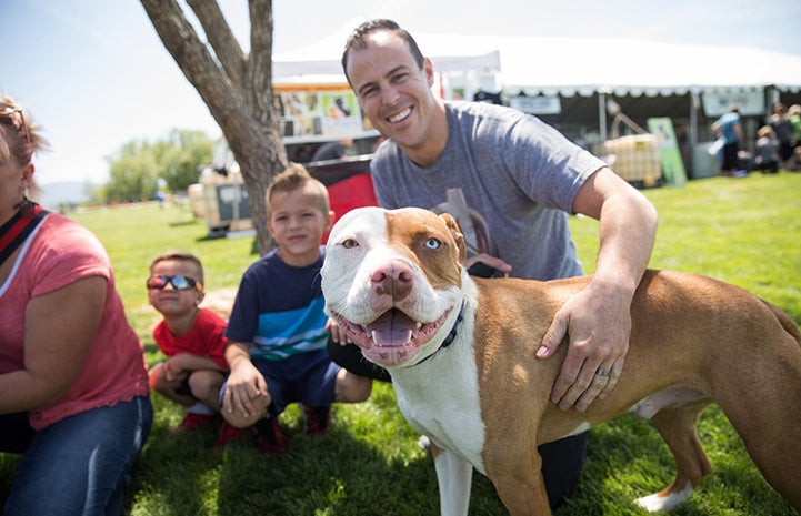 Smiling man patting Bowie, a brown and white pit bull terrier, after adopting him at the May the 4th NKUT Super Adoption
