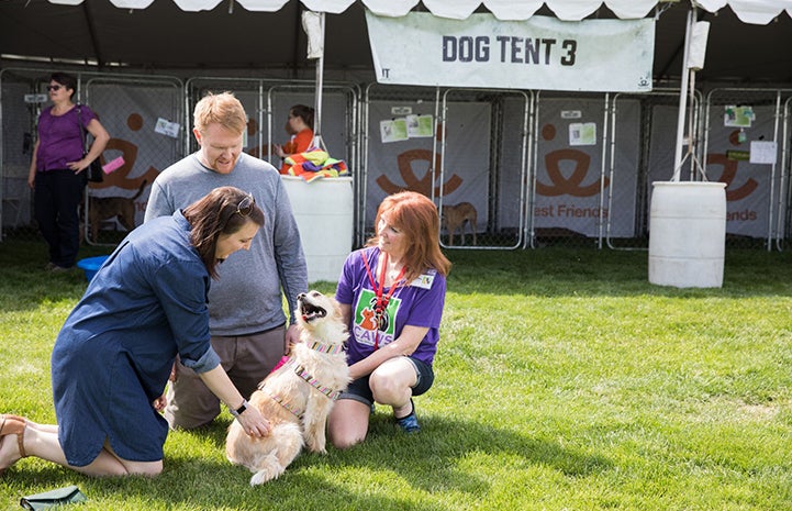 A family meeting Molly the dog from CAWS in front of a dog tent at the May the 4th NKUT Super Adoption