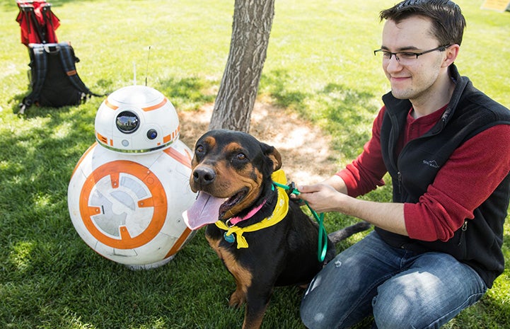 A man holding a black and tan rottweiler-type dog on a leash next to a BB8 Star Wars robot at the May the 4th NKUT Super Adoption