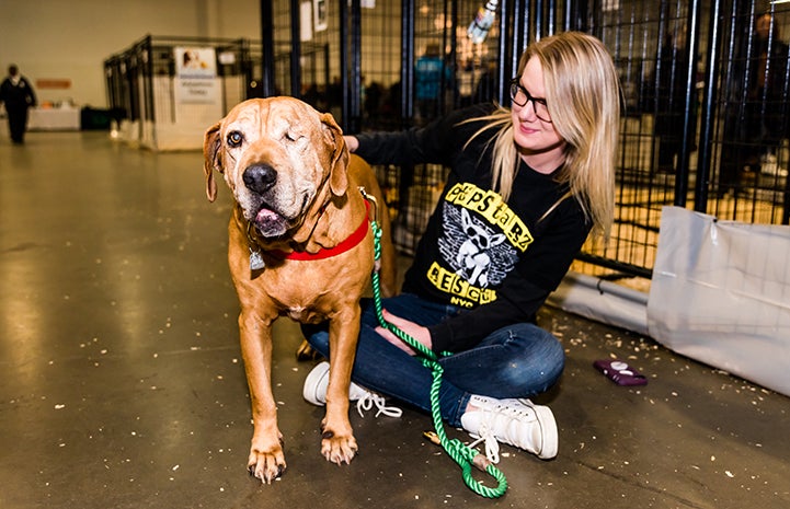 Pandora the dog with a volunteer at the New York Super Adoption