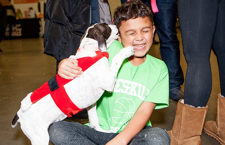 This dog was all kisses when looking for a home at the New York Super Adoption