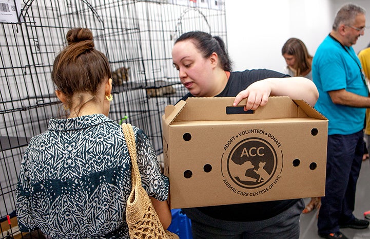 Woman handing a cardboard carrier to another woman at the New York cat adoption event