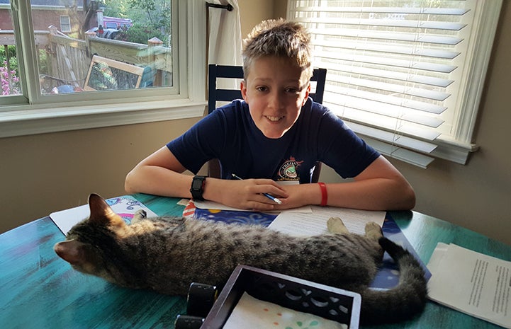 Kona the brown tabby cat and Lisa Borden's son have a special connection