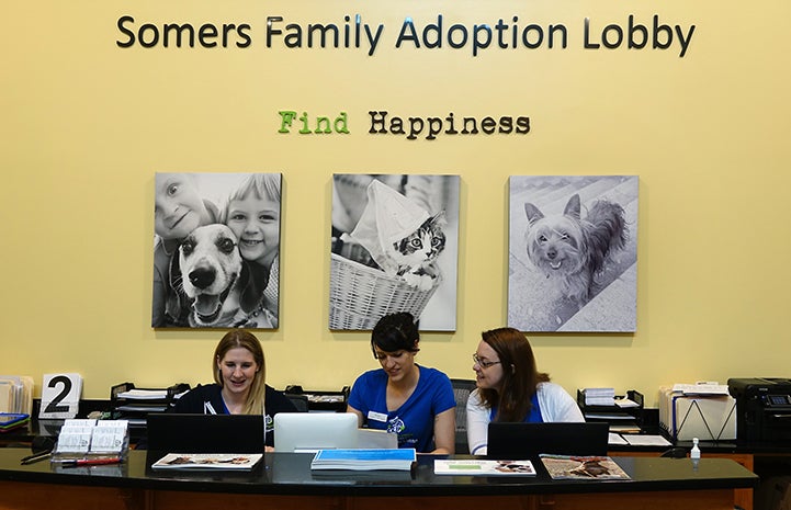 Three women working in the lobby of the Lynchburg Humane Society, with three animal photos behind them