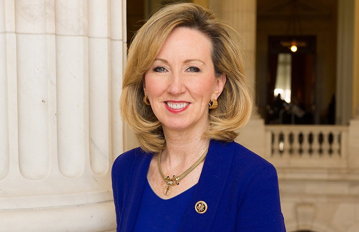Congresswoman Barbara Comstock, Virginia