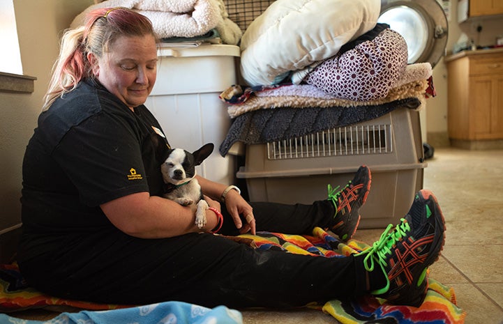 Woman sitting on the ground with Robert Johnson the Chihuahua in her lap