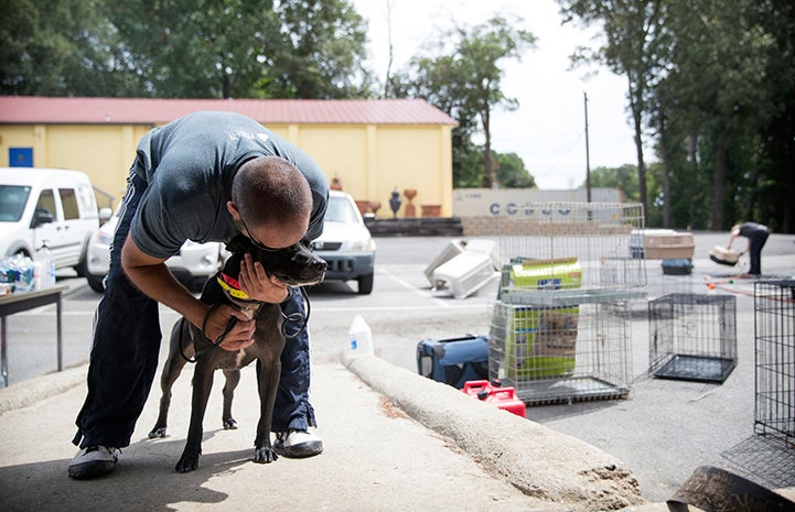 Man leaning over to hug a dog, with kennels and carriers surrounding them