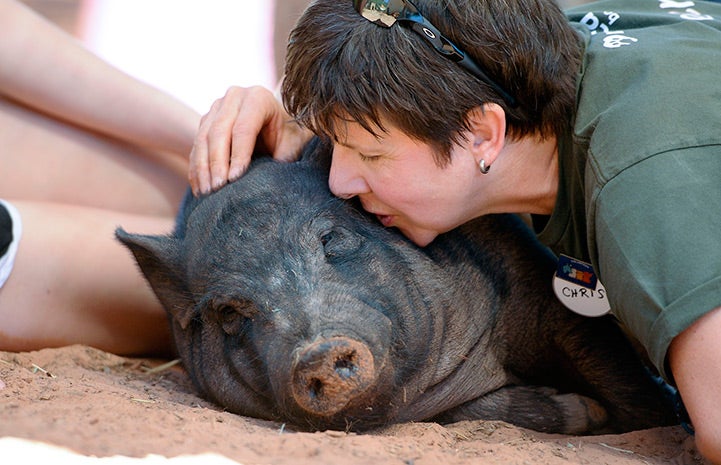 Woman giving Buster the potbellied pig a kiss