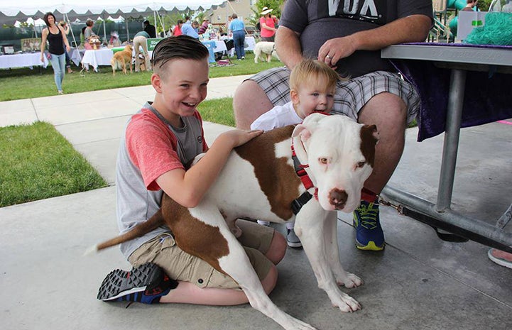 Captain Cowpants the dog sitting on a scared boy's lap