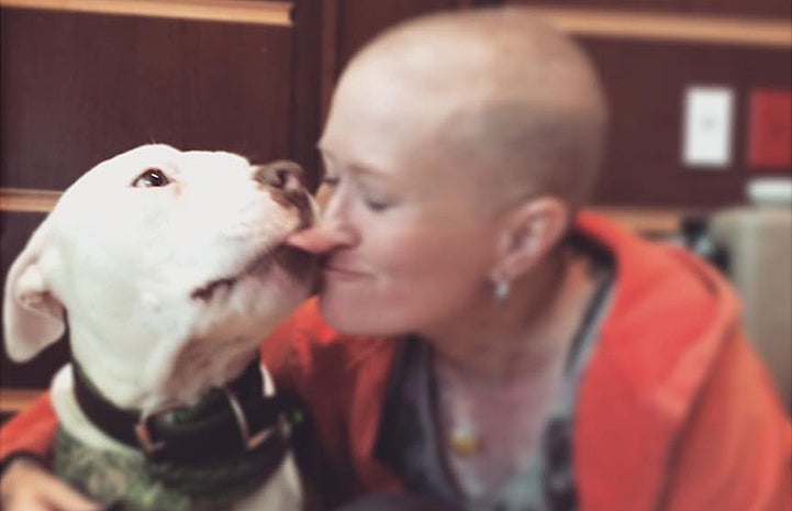 Captain Cowpants the dog giving a kiss to a woman during his job as a therapy dog