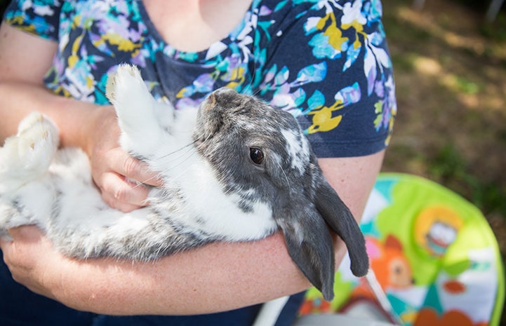 Siddha Campbell holding Flora the rabbit