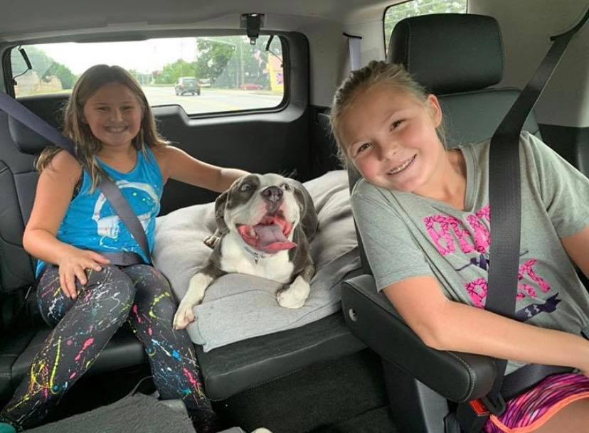 Roxy the dog sitting in the back seat of a car with two young girls