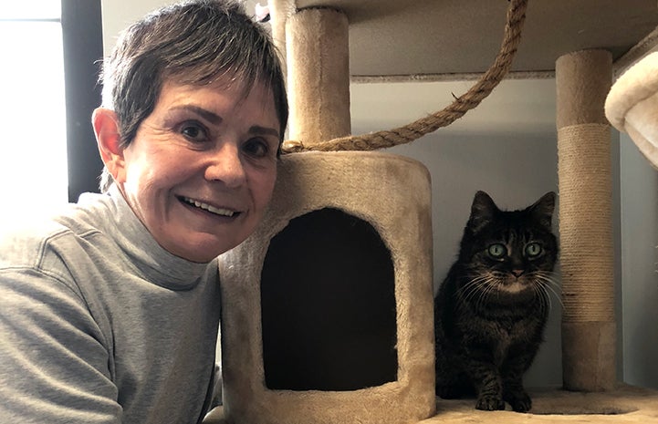Barbara with Daisy the senior brown tabby cat in a cat tree at the Best Friends Pet Adoption Center in Salt Lake City