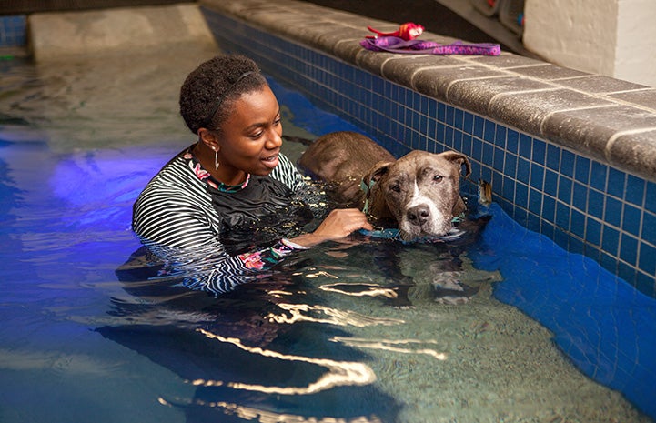 Sheena the dog in the water with a woman receiving hydrotherapy