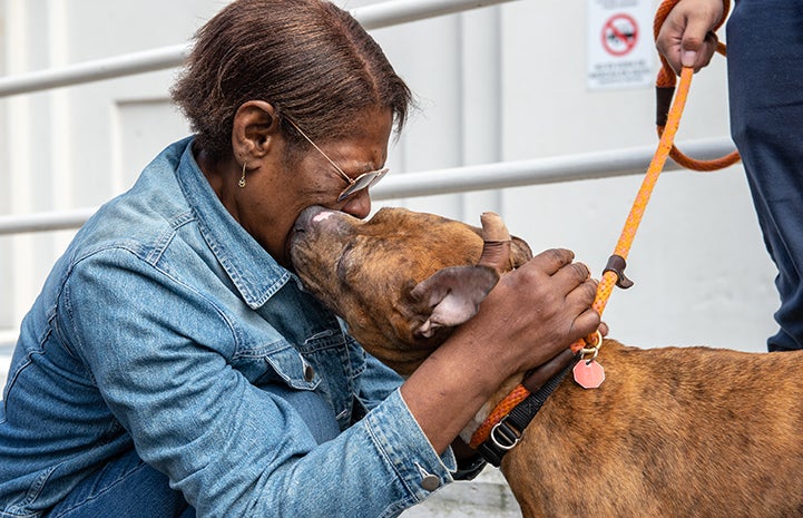 Woman leaning down and getting a kiss from, while petting, a brindle dog at the New York Super Adoption event