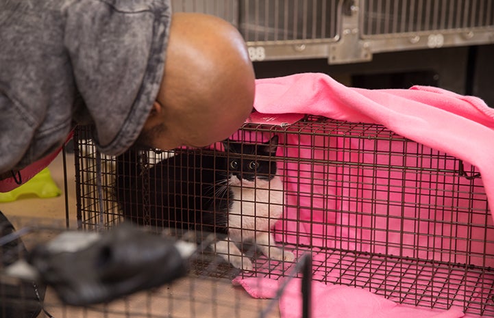 Sterling “Trap King” Davis looking into a live trap holding a black and white cat