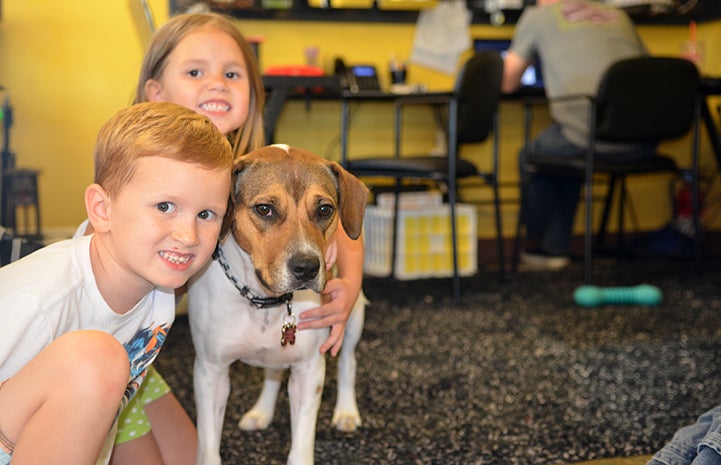 Alice the dog helps the kids in the taekwondo center gain confidence
