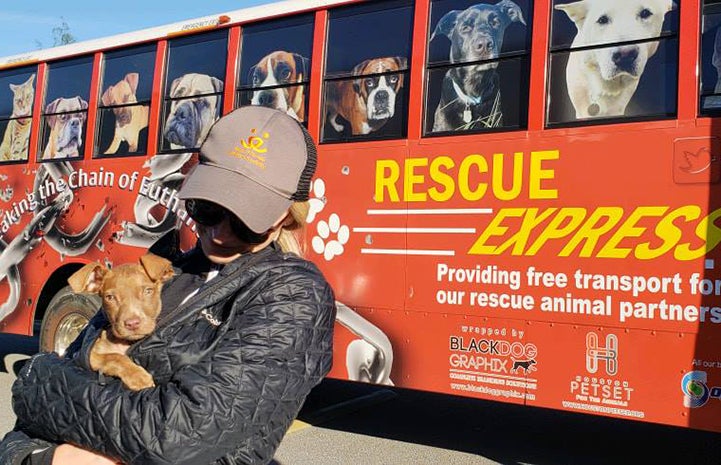 Woman holding Monique the puppy in front of the transport bus