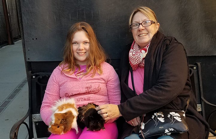 Brandy and Ivy the guinea pigs sitting on the lap of one of two women adopting them