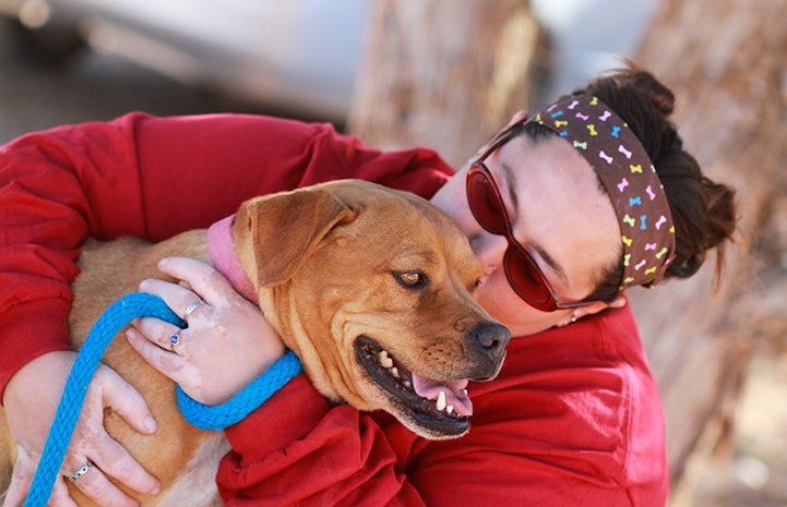Woman giving a kiss to Meryl the Vicktory dog