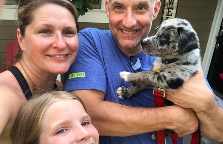 Sunny the speckled puppy with her new family
