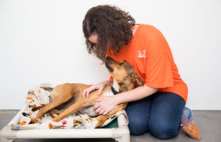 Volunteer Lisa McManus sitting on the ground next to Topanga, a dog lying down in a bed