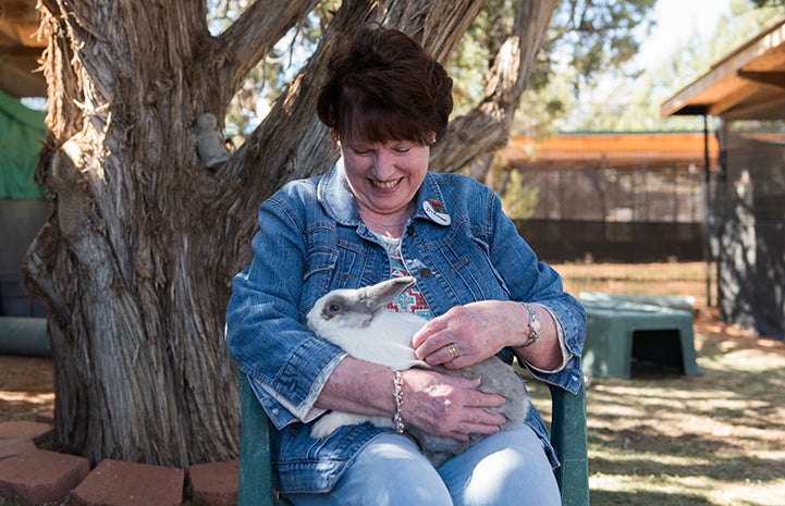 Dianne volunteering at Bunny House with a rabbit on her lap