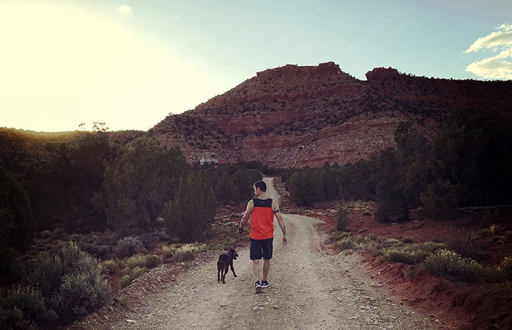 Volunteer Kevin Wesely walking Jarvis the dog toward a red cliff