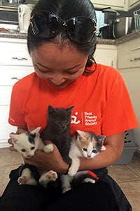 Volunteer Ranko Fukuda wearing an orange Best Friends volunteer T-shirt holding three kittens on her lap