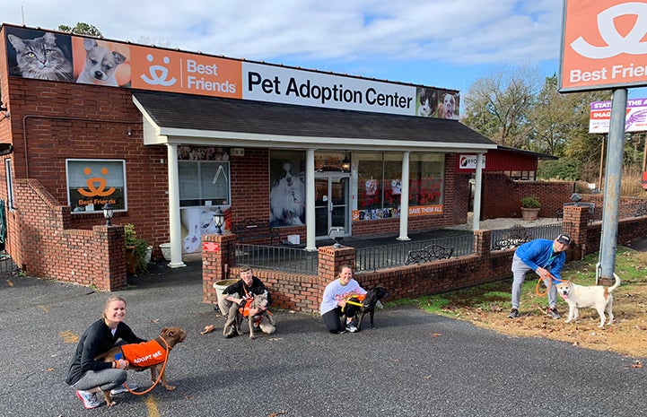 Multiple and dogs ready to run in front of the Best Friends Lifesaving Center in Atlanta