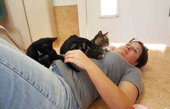 Volunteering at Cat World headquarters in a room with 13 or 14 kittens is a favorite memory
