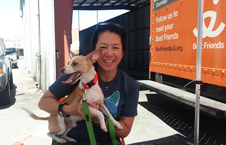 Volunteer Sophia Lim holding a puppy Volunteer Sophia Lim holding a puppy