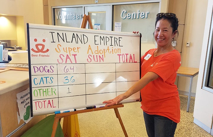 Volunteer Sophia Lim in front of a white board showing animals adopted at a Super Adoption event Volunteer Sophia Lim in front of a white board showing animals adopted at a Super Adoption event