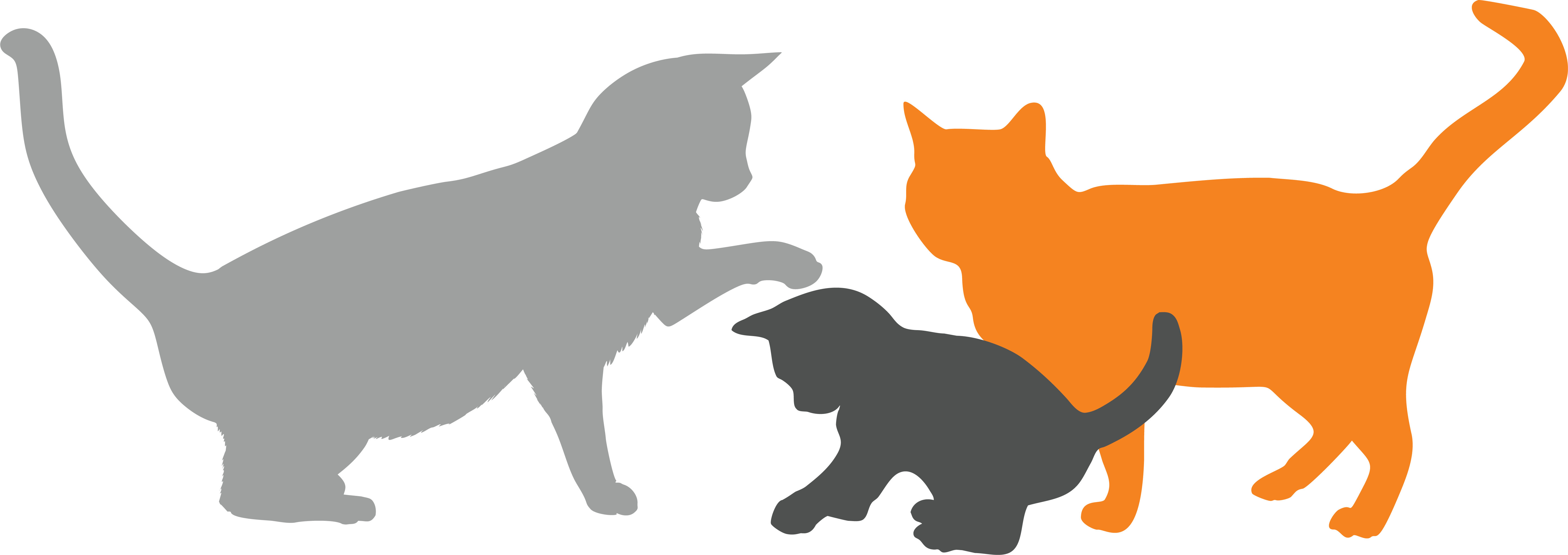 Three cats in silhouette graphic