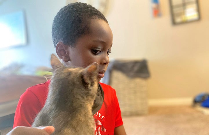 Pumba the cat with a child who is looking at her and hand petting her