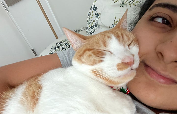 Selfie of Spitfire the cat with Dipika