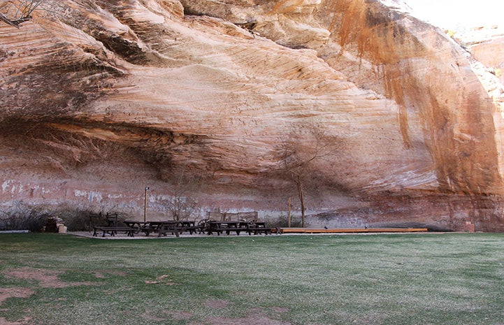 Angels Rest amphitheater with red rock cliff and green grass