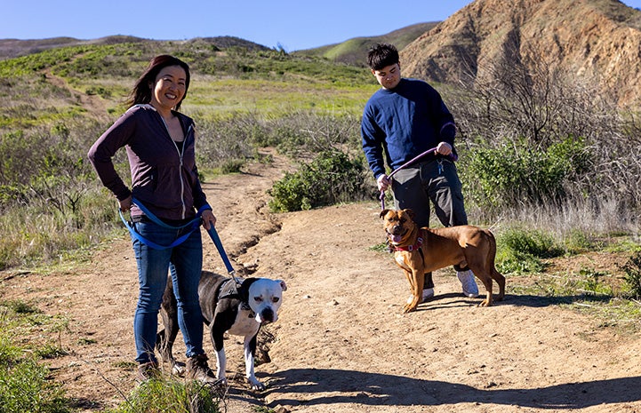 Nanami outside hiking with another person and Orion and Zeke the dogs