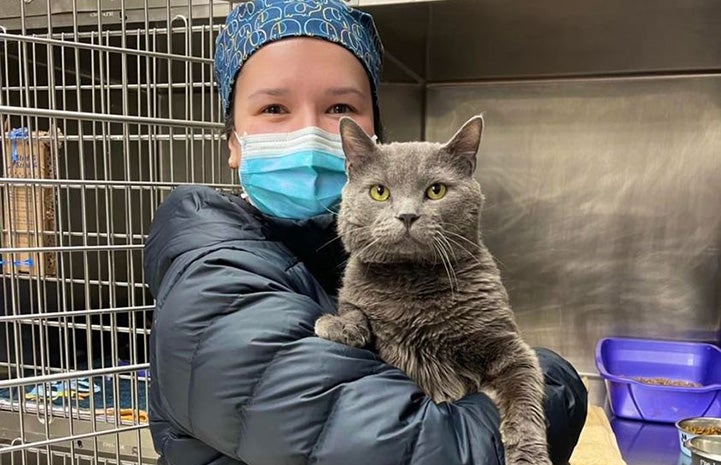 Person wearing a mask and holding a gray cat