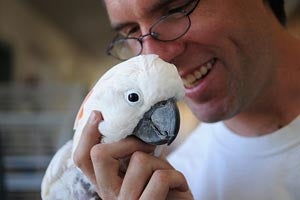 Charlie the parrot Charlie the parrot