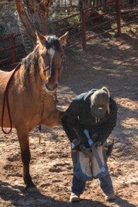 Chuck the horse getting a hoof trim