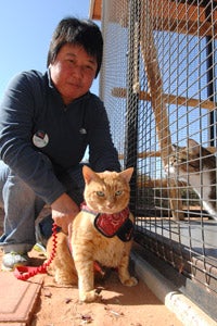 Roberta Fong from Malaysia with an orange tabby cat at Best Friends Animal Sanctuary