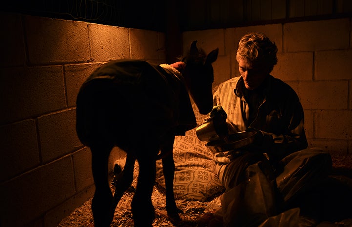 Linda with Prince the baby horse during her night watch