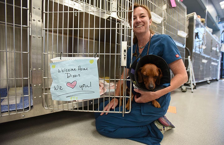 Dixon the wiener dog had to be syringe fed every few hours