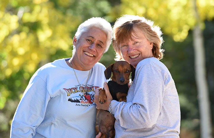 Dixon the dachshund is adopted!
