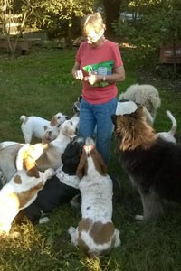 Woman handing out Blue Buffalo treats surrounded by a group of dogs